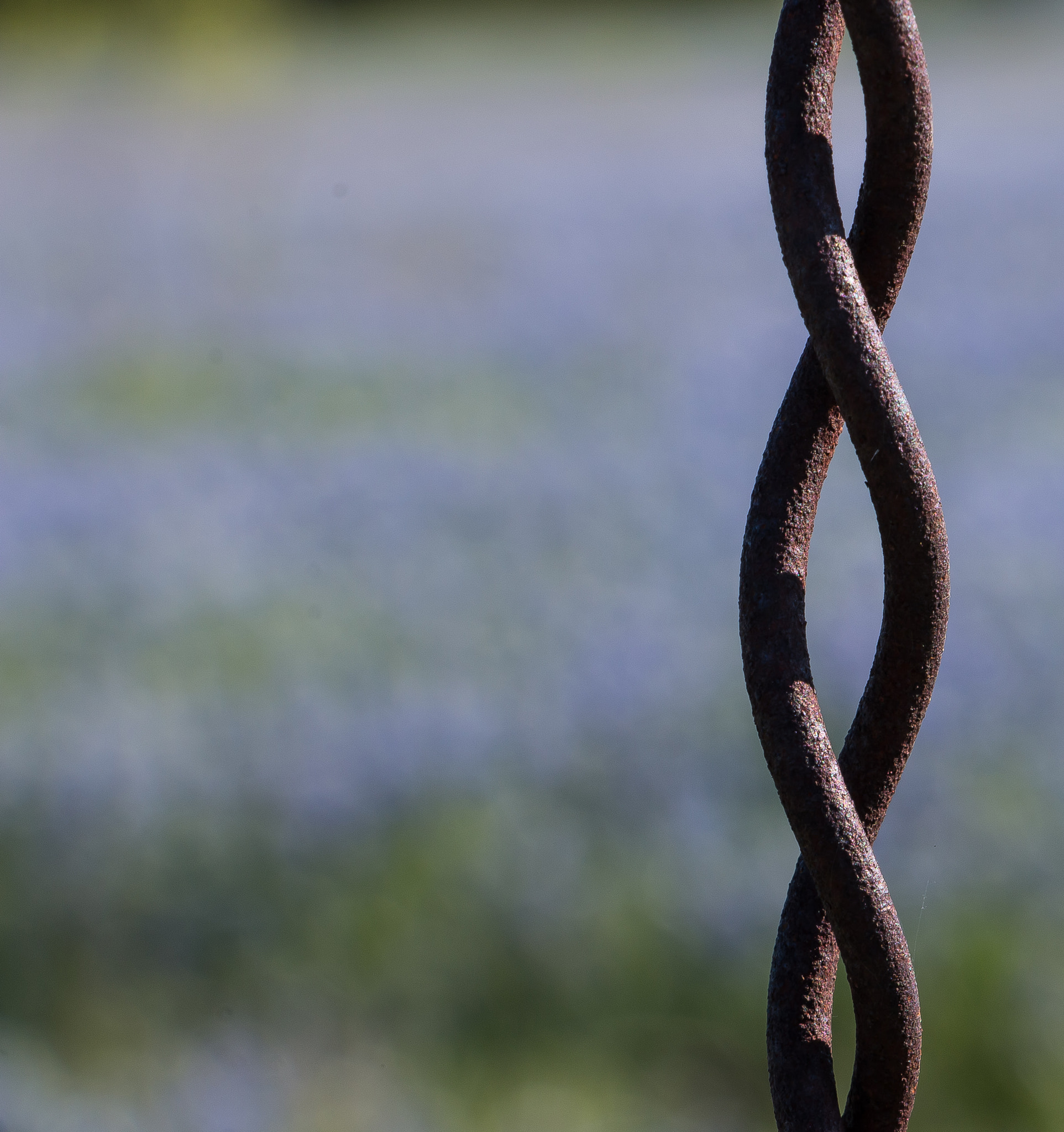 The Chain