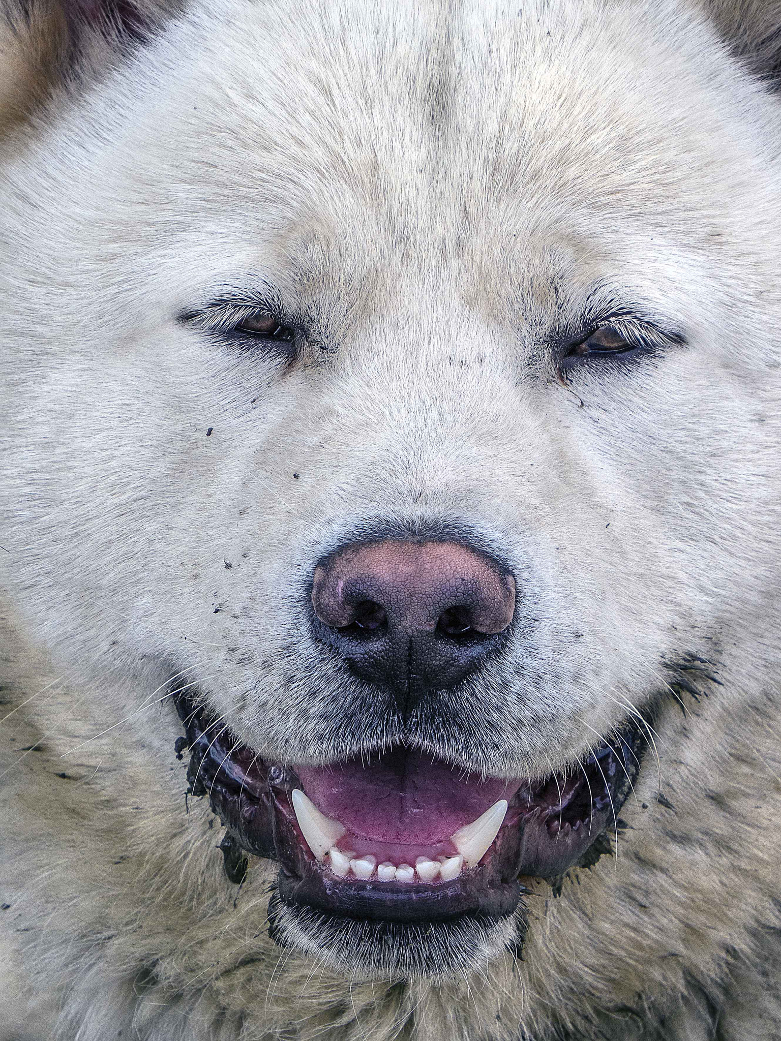 Con una sonrisa