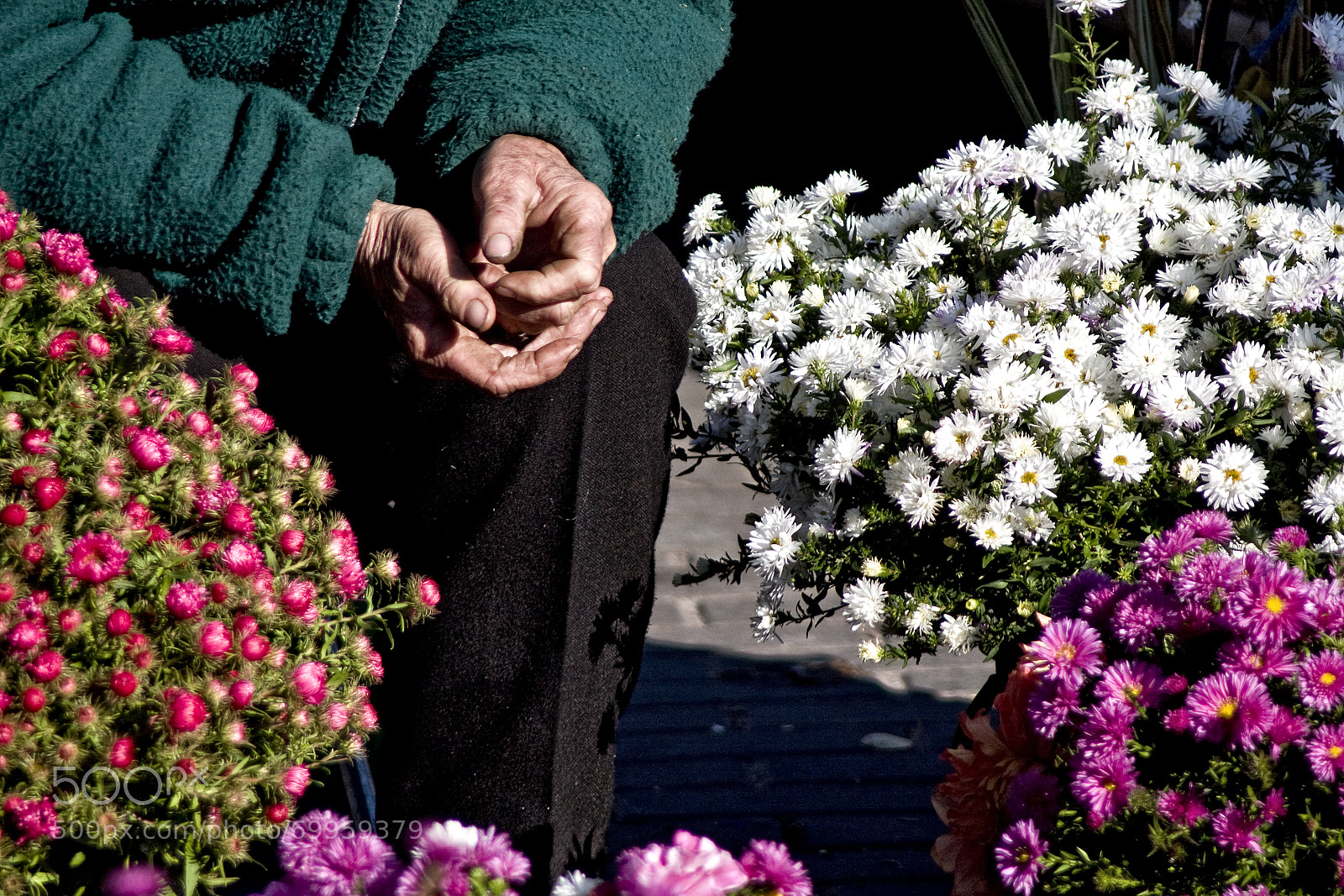 Canon EOS 40D sample photo. Hands of photography