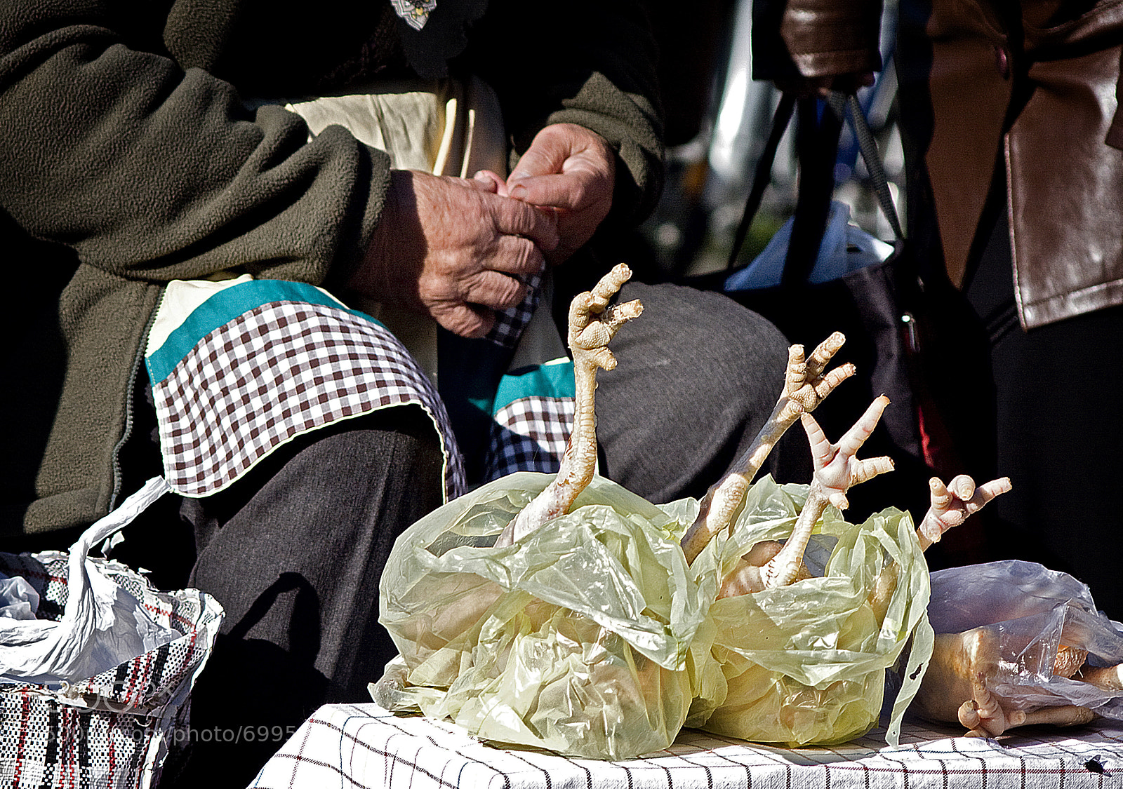 Canon EOS 40D sample photo. Hands of photography