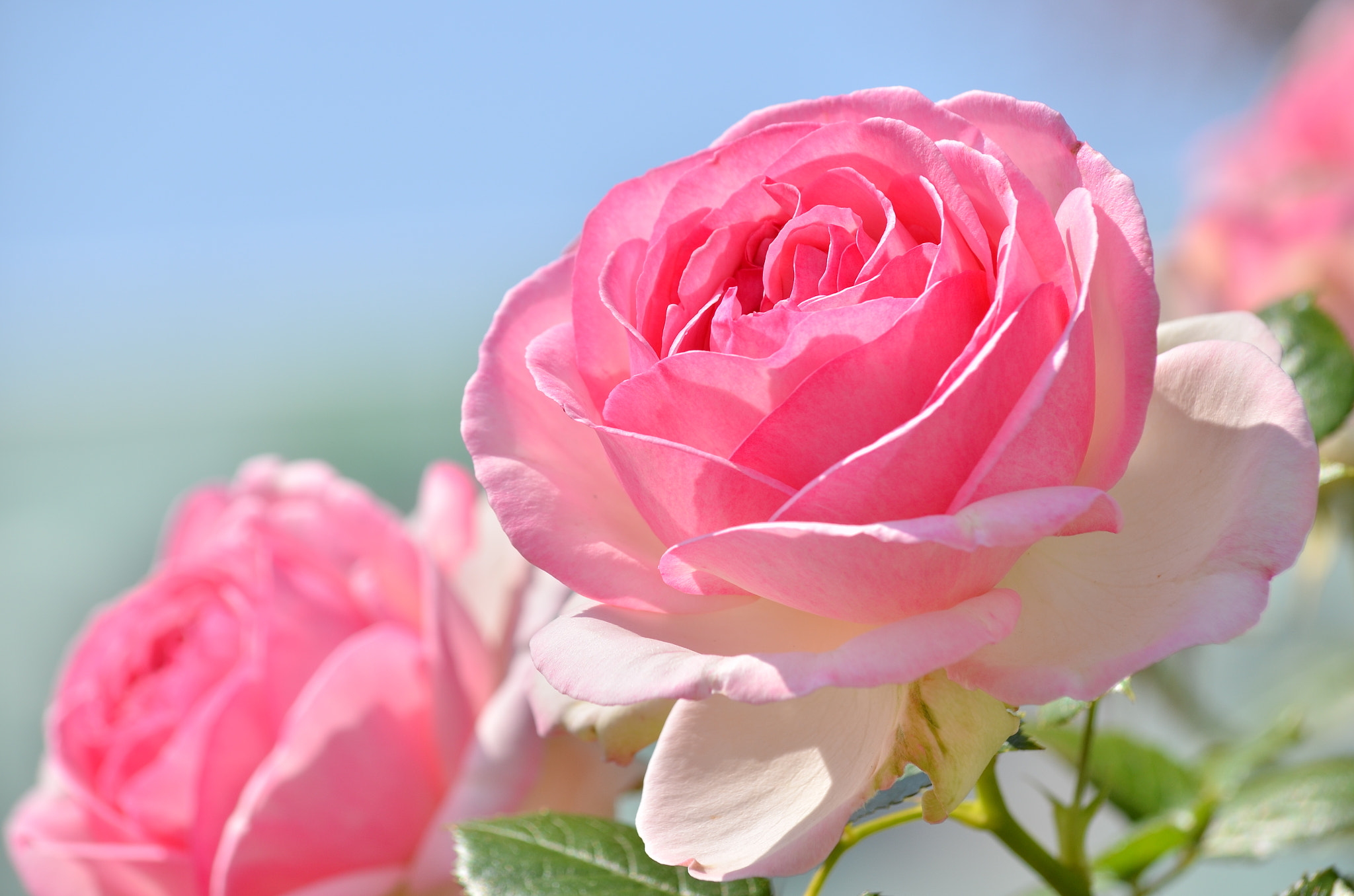 v2?sig=6e4cdf7888034b4aaa7fb8dd2b3901d6967ed6f58ee4d1b46b05afc40e8075b6