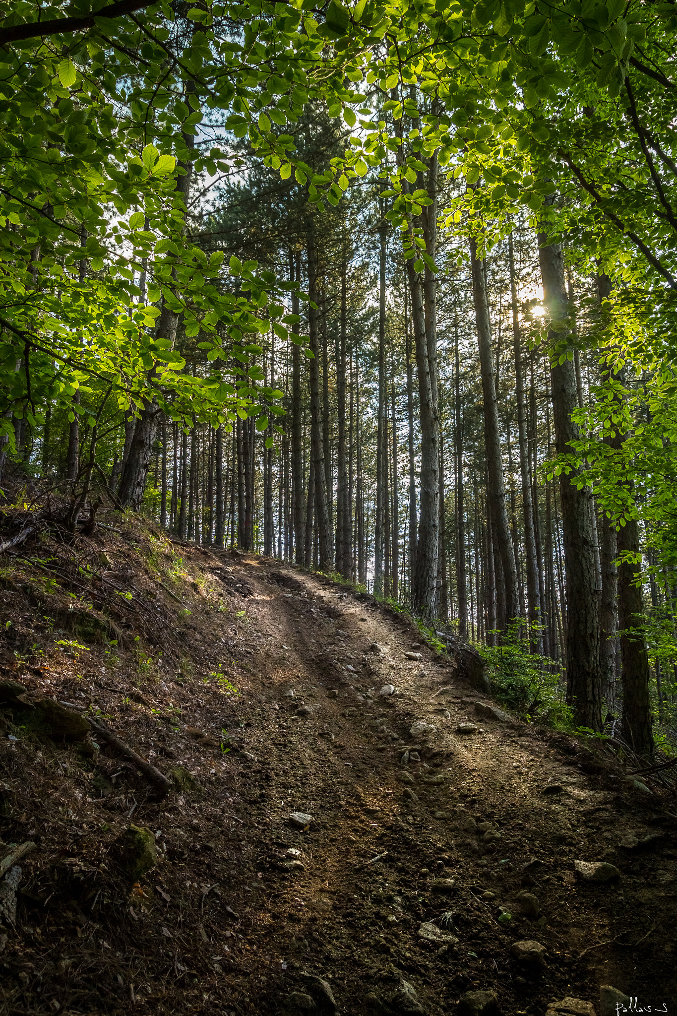 v2?sig=5965d85702babc41d5aaad7befedef2aaabf9b10698899decde78975fdfd788c