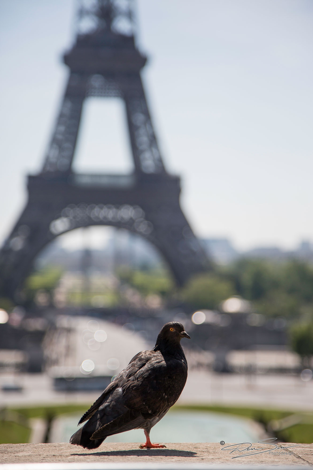 I am a Parisian