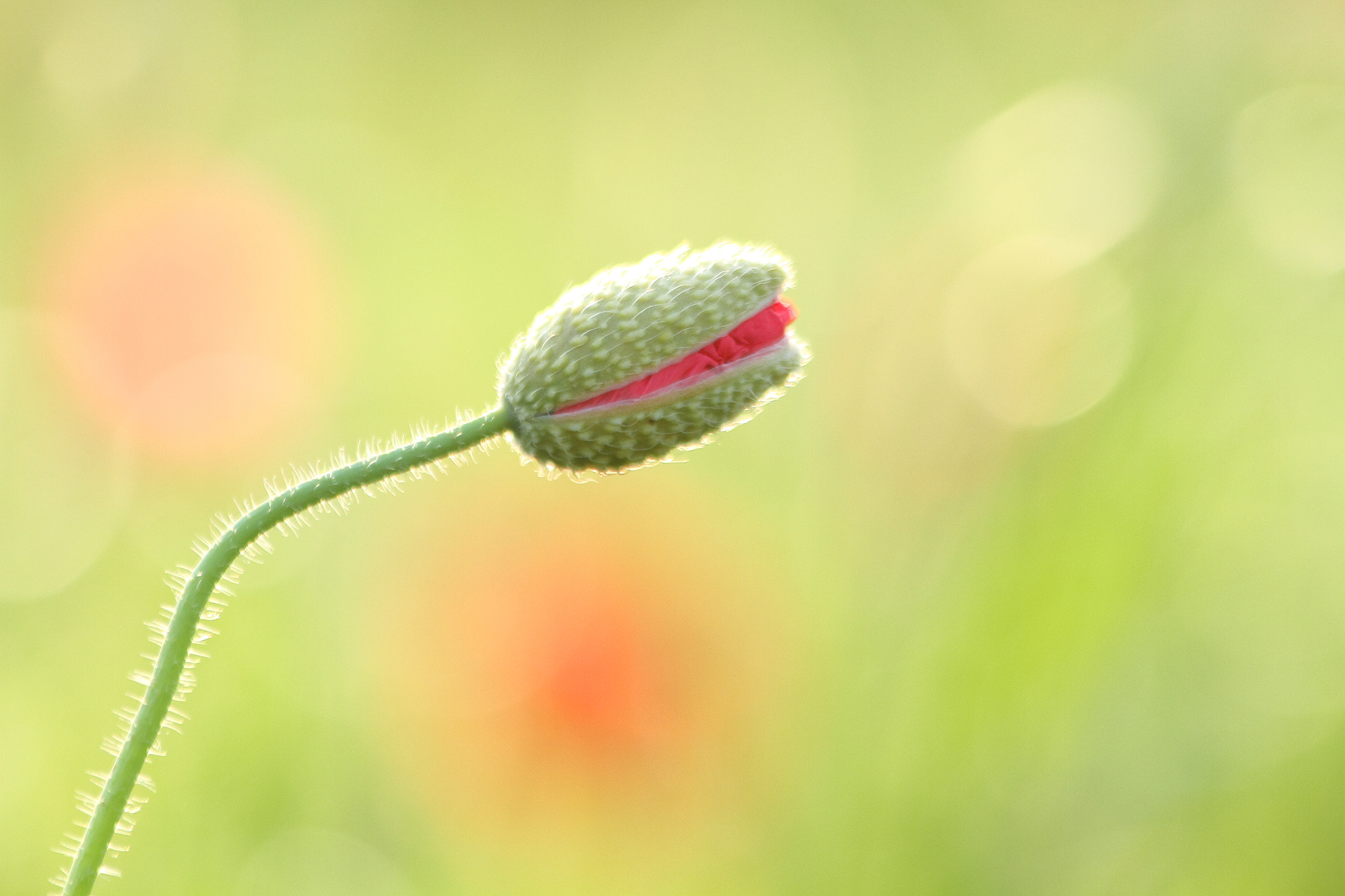 v2?sig=cfe533a3a574956fae11f28d7de896dd786d937dd8b541468fd9f402564ab185