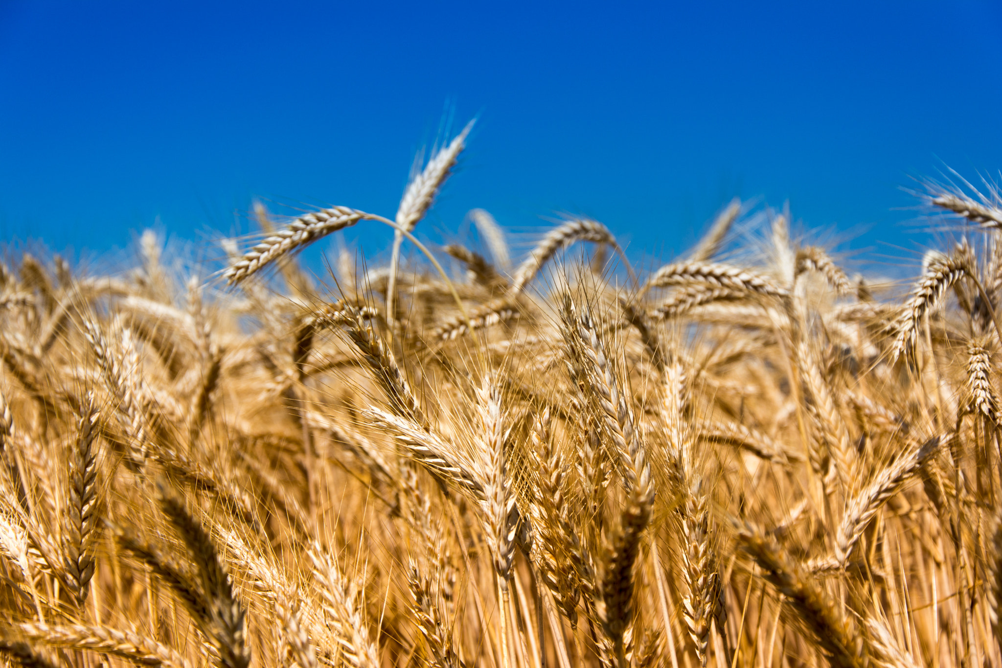 v2?sig=6ef5193950c84d4b0710def00c42c690d7c2203201f4887fcf8a3ed0a8077a0f