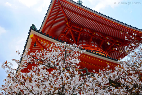 Cherry Blossom Pagoda