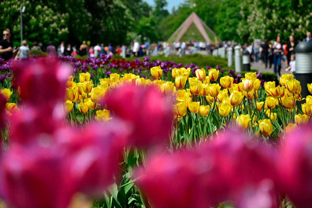 v2?sig=86d1e8bc676a7c881907eb86e5ff2af20cc2fec4003b888003fcba6cfcdb00f5