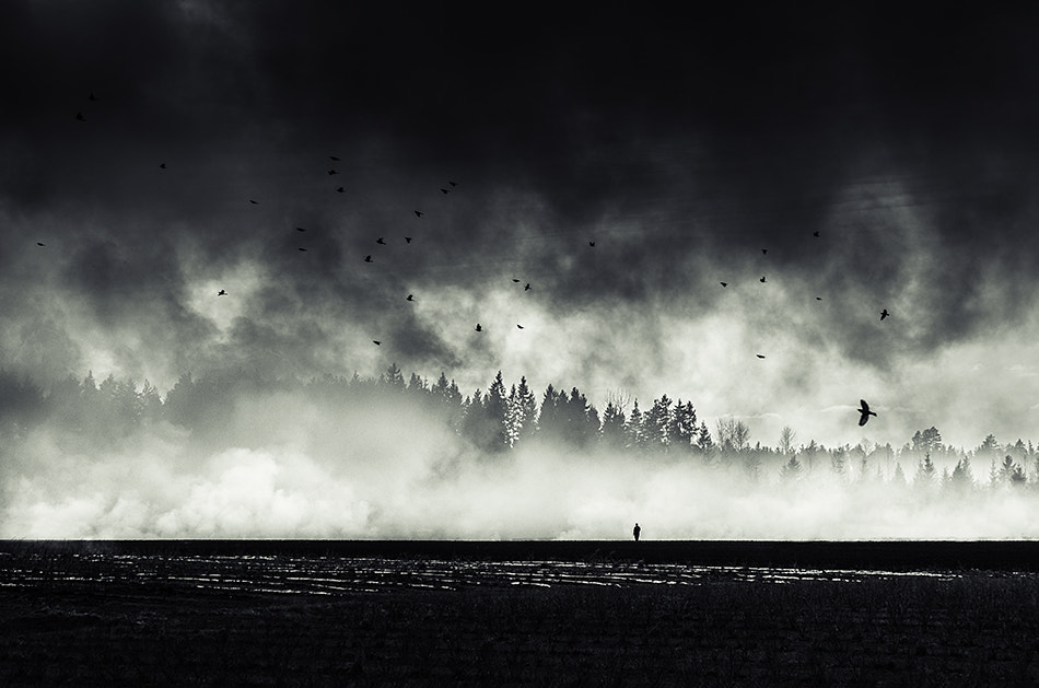 Still Standing... by Mikko Lagerstedt on 500px.com