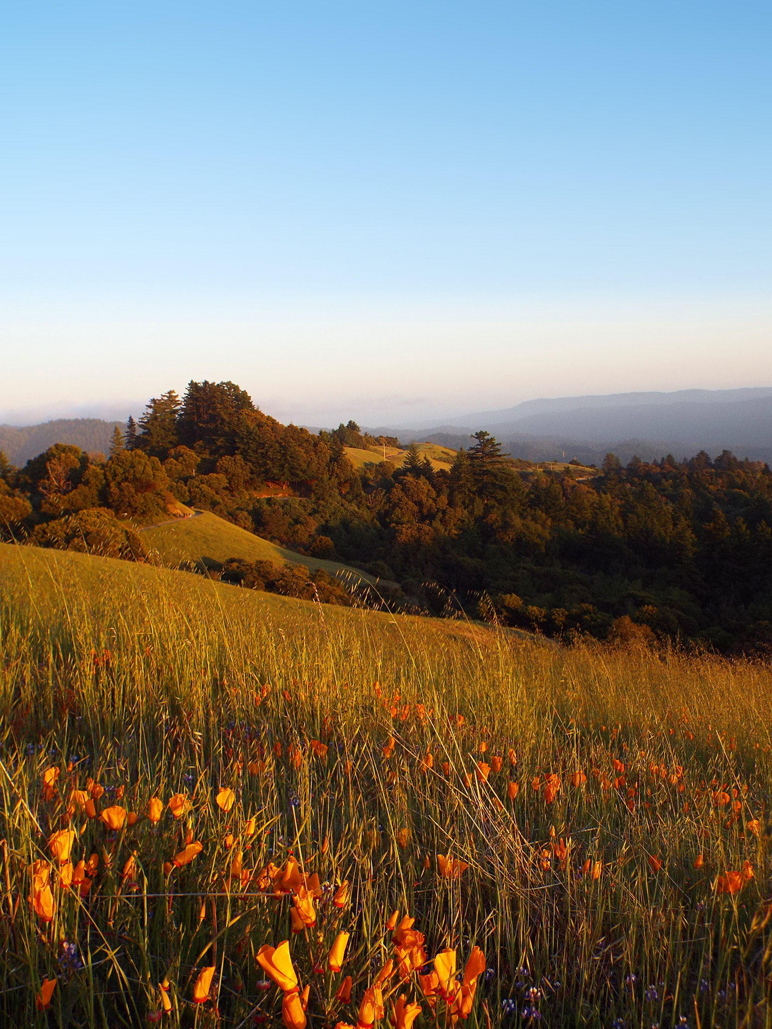 Russian Ridge Sunset View