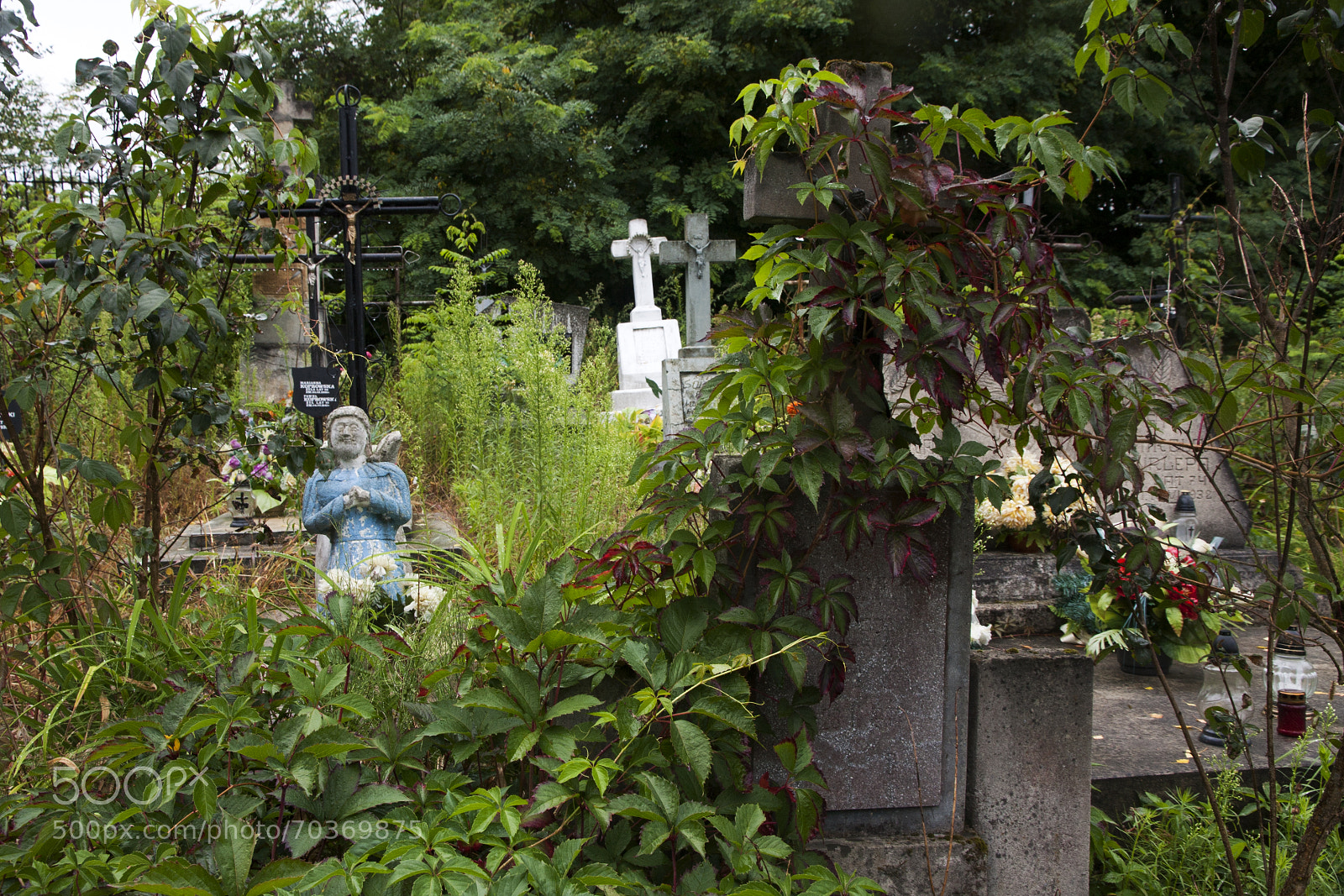 Canon EOS 40D sample photo. Between uniqueness & repeatability photography