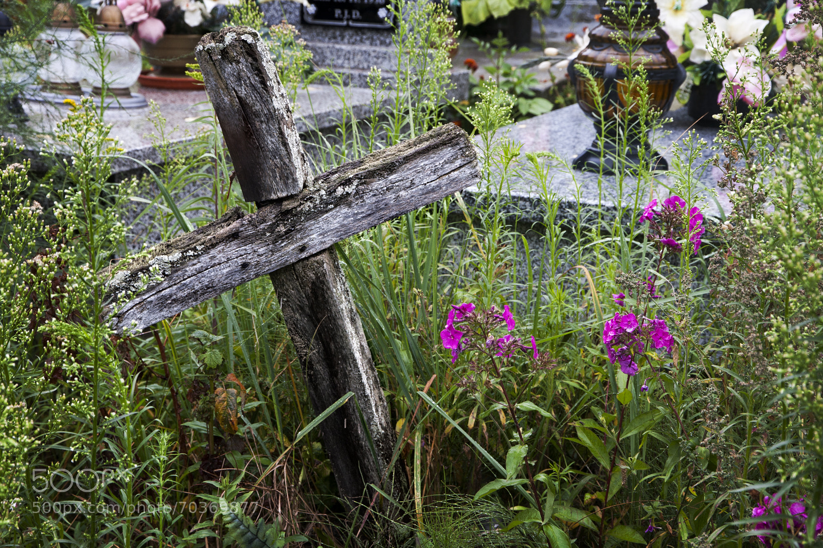 Canon EOS 40D sample photo. Between uniqueness & repeatability photography
