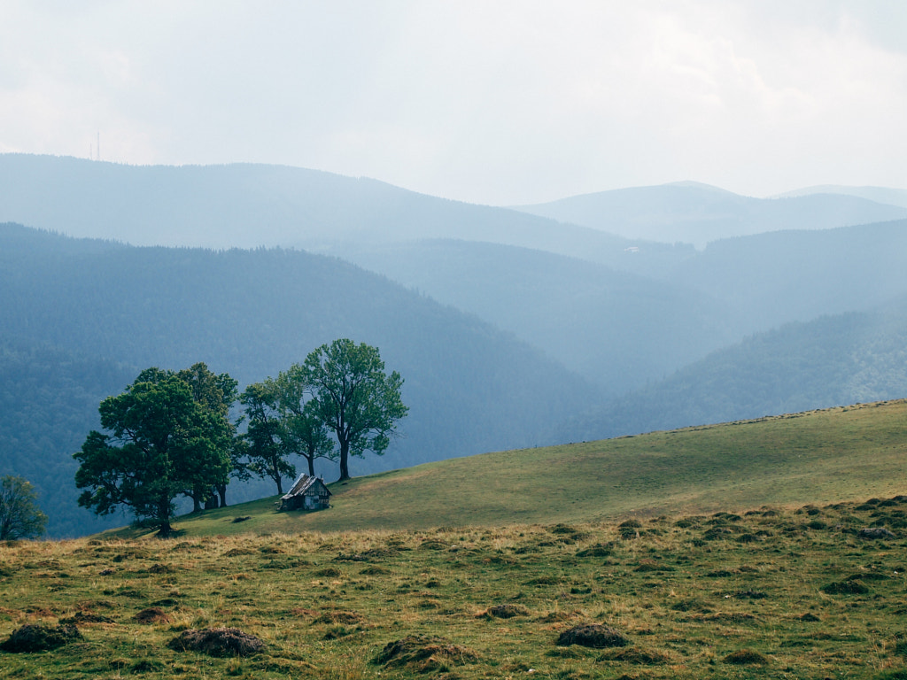 Carpathian Forest by Moritz Peters on 500px.com