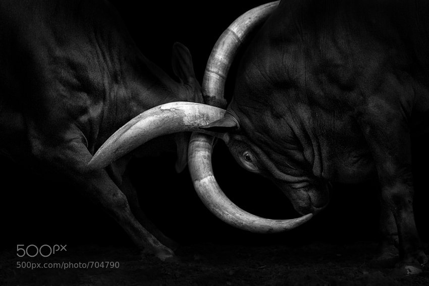 32 horns intertwined