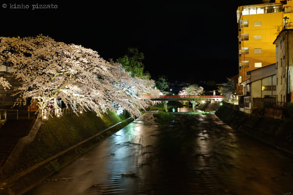 Takayama Sakura