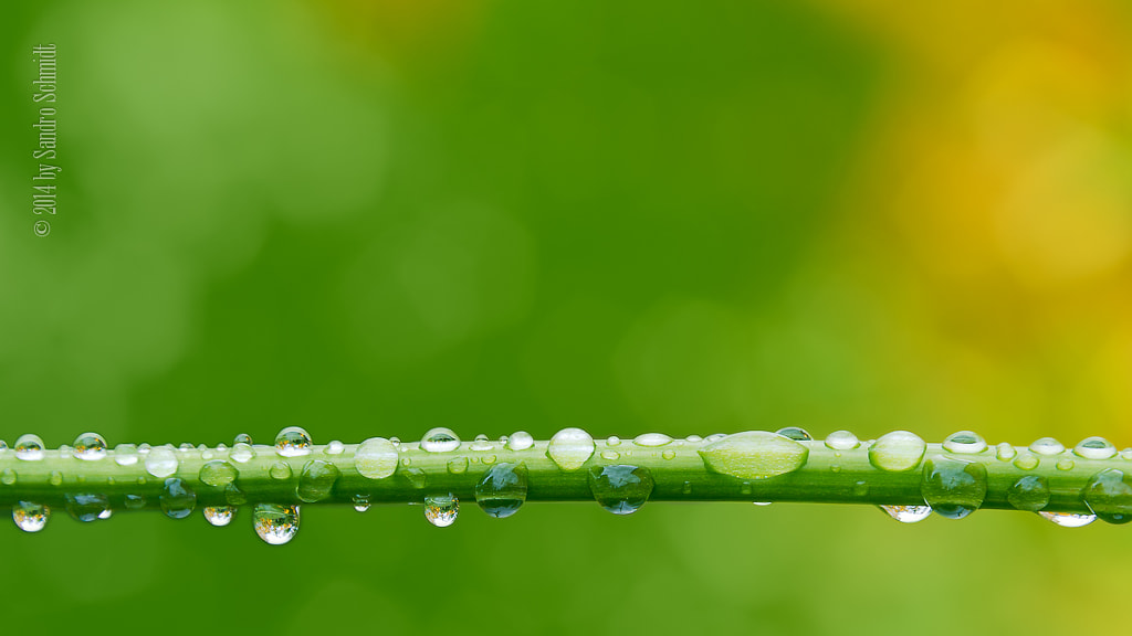 Waterdrops by Sandro Schmidt on 500px.com