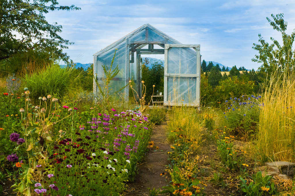 Greenhouse by Wayne Carlson on 500px.com