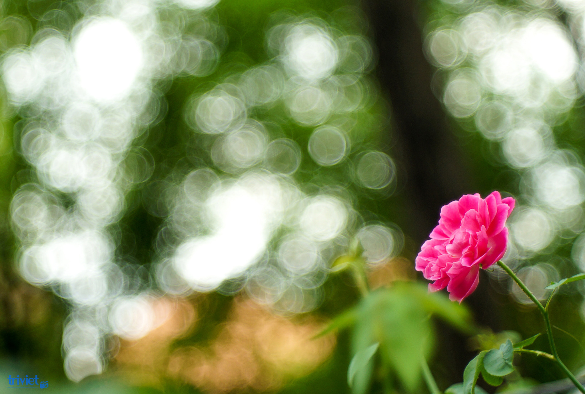 v2?sig=1e44bd89cb6f0922c0f30b95db25ad1cebc8463dcd8171325de07fecea3b32a4