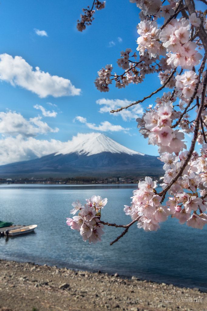 Classic view of Mt.Fuji by Julia Wimmerlin on 500px.com