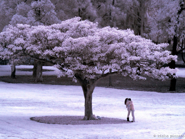 Love Under The Infra-Red Sun
