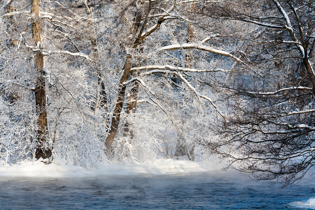 Winter Beauty by Jouni Pihlanko on 500px.com