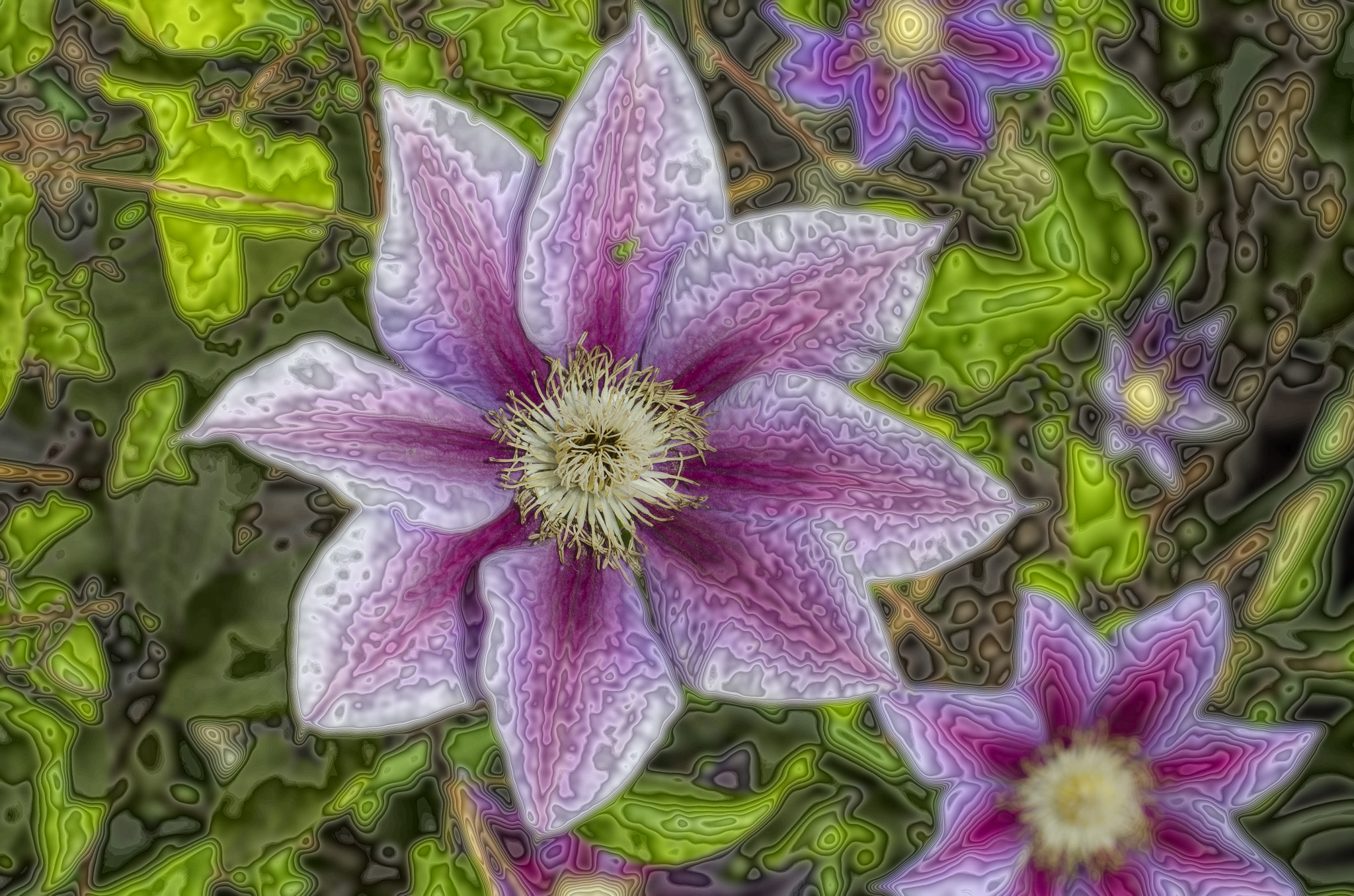 Processed Clematis