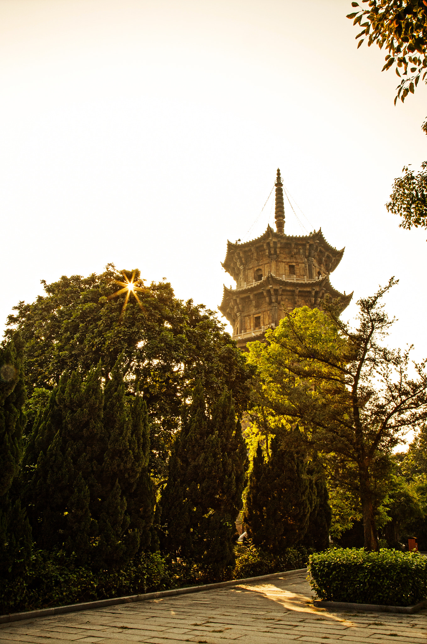 Afternoon Light V 午後V