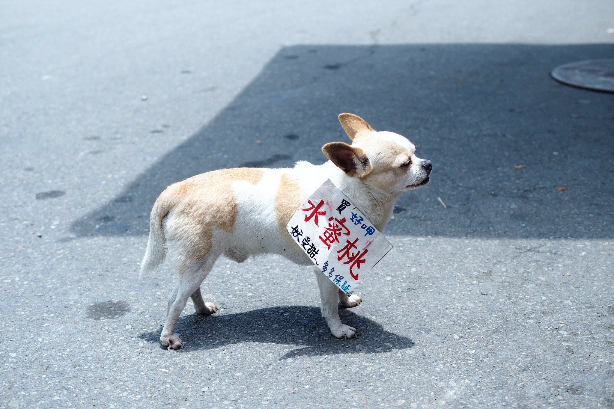 v2?sig=de5b06bfbdfde703ca03d4ccec6bf3e4397c813c876c3e63e31e342d8ed2ed36