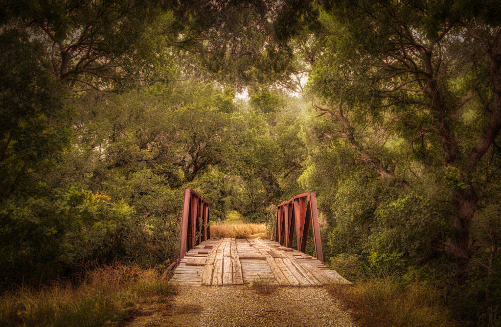 Bridge in the woods by Jonathan Rice on 500px.com