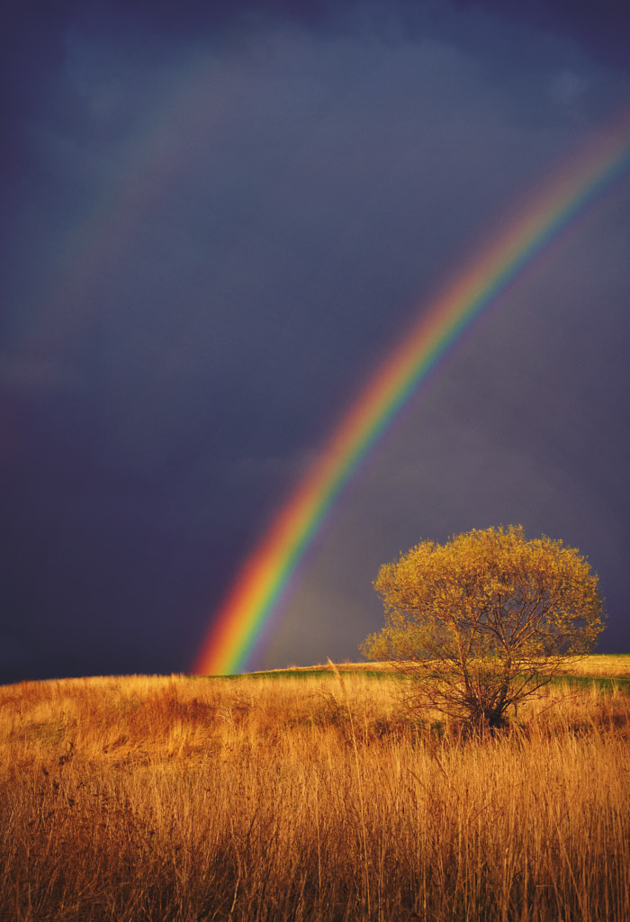 An epic rainbow by Samuel Baňas on 500px.com