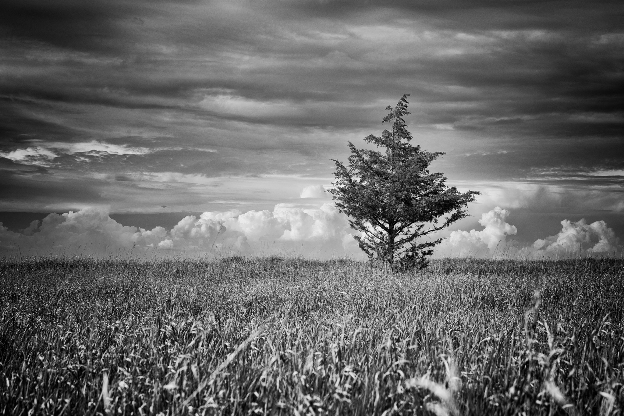 v2?sig=b24814a6577274753b7db6e0077b5d7d6