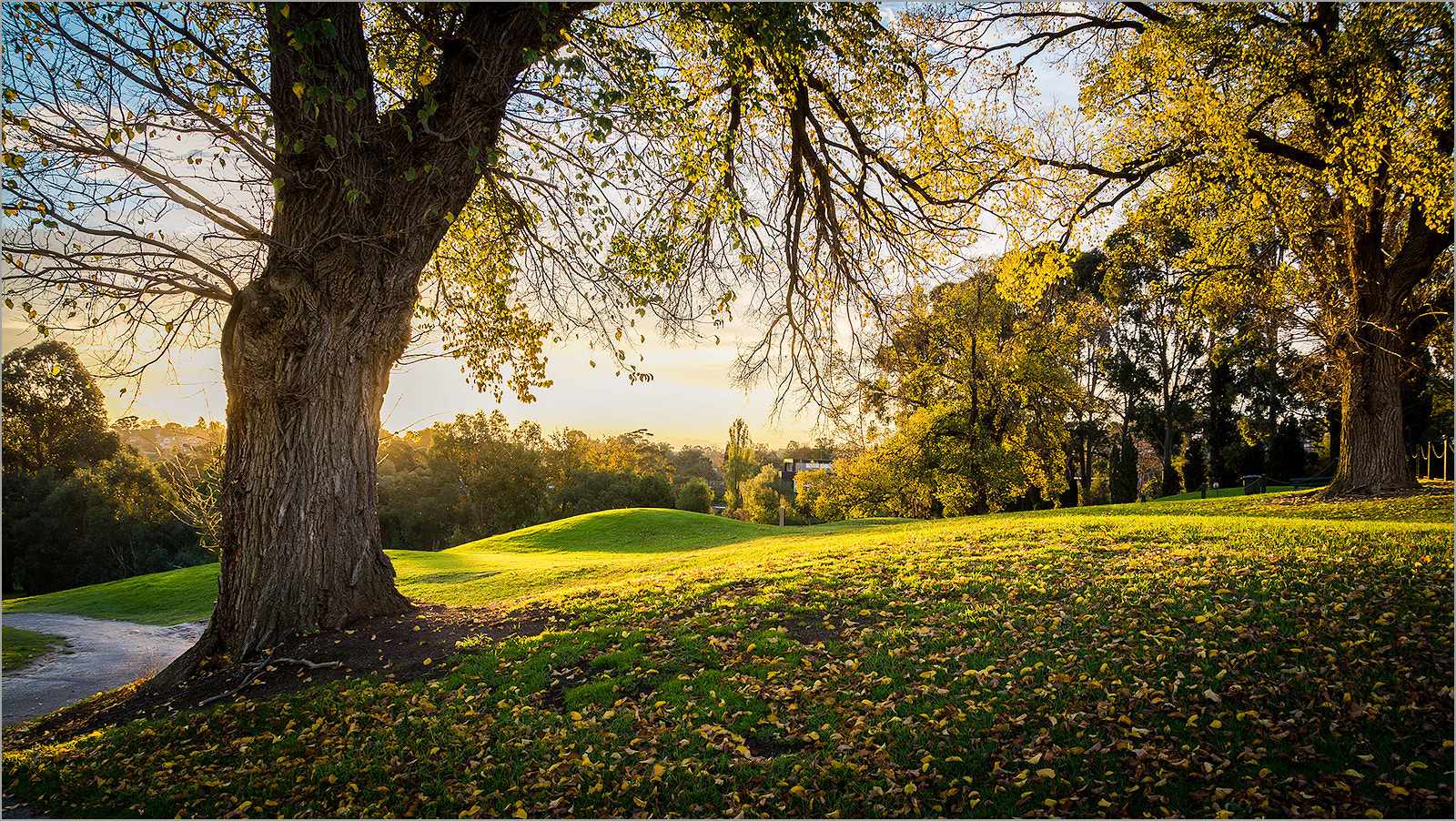 Sunset, Ivanhoe Golf Course