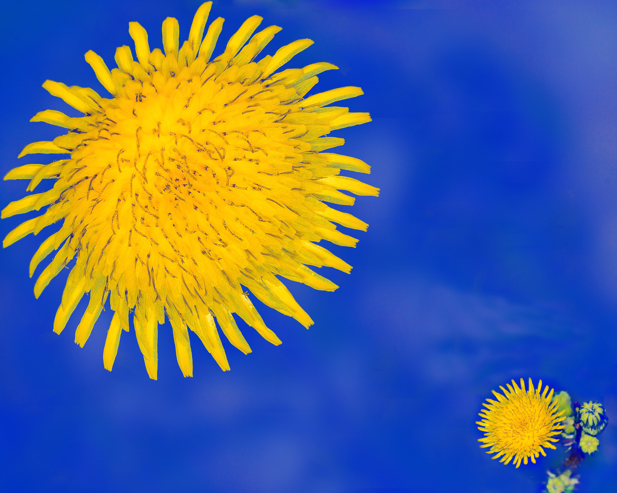 You are my sunshine...