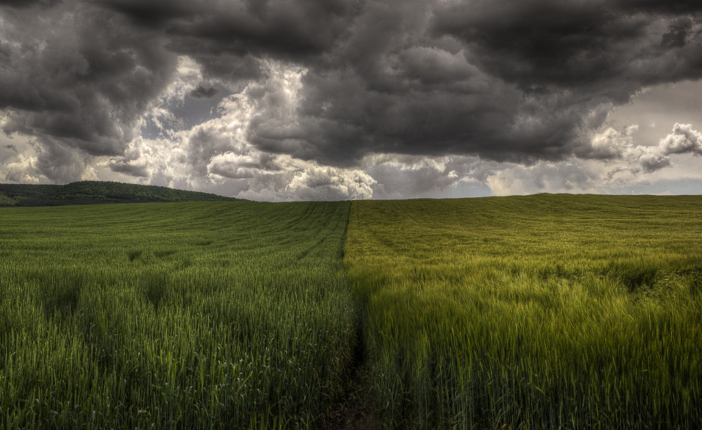 Two by Tsvetina Ivanova on 500px.com