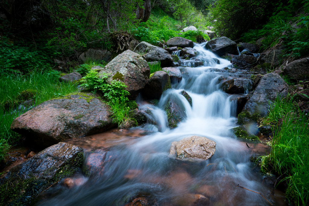 Relax time by Evgeniy Graznov on 500px.com