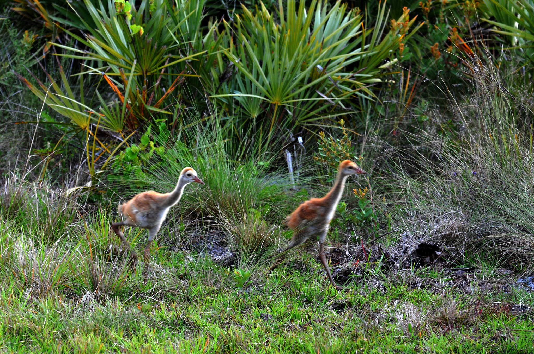 v2?sig=399cdc988678c3ecb4ea622842fc5d8b1648dbb4991f0e822b25c9f5bd5f4dd6