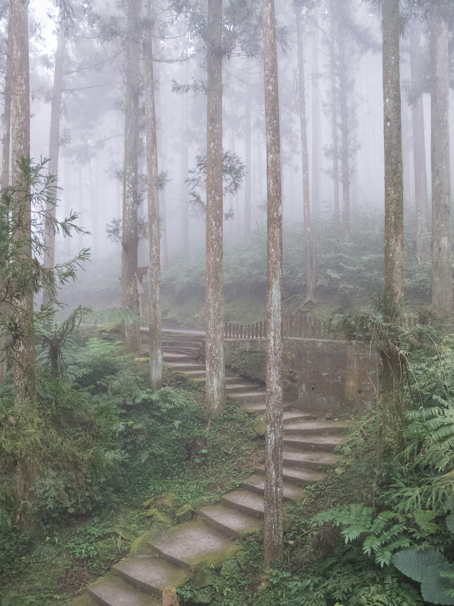 Taiwan Xitou Park