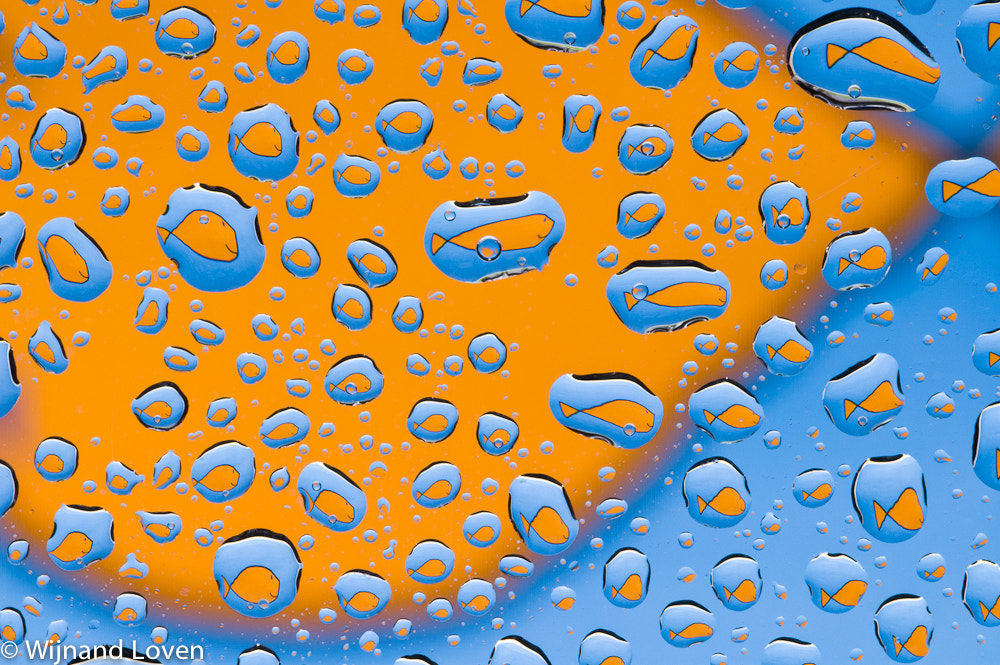 Fishes in water droplets