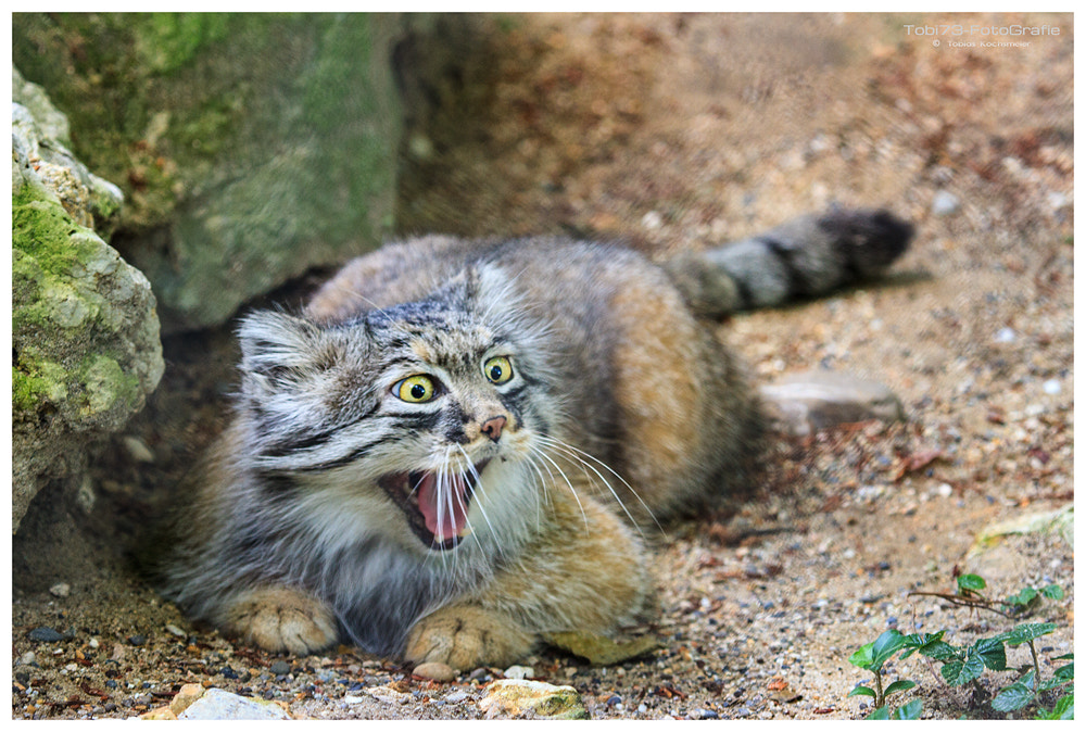 Aaaaaaaaaahhhh!! by Tobi K on 500px.com