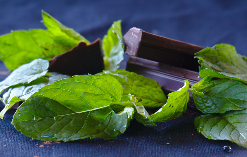 Mint and chocolate truffles