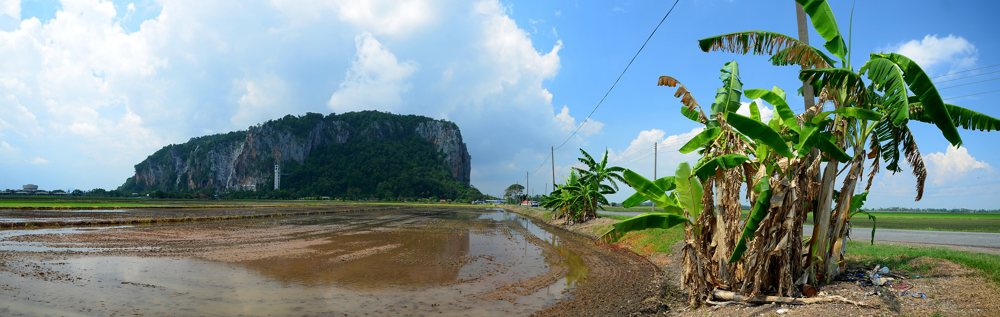 Paddy Field with Gunung Keriang