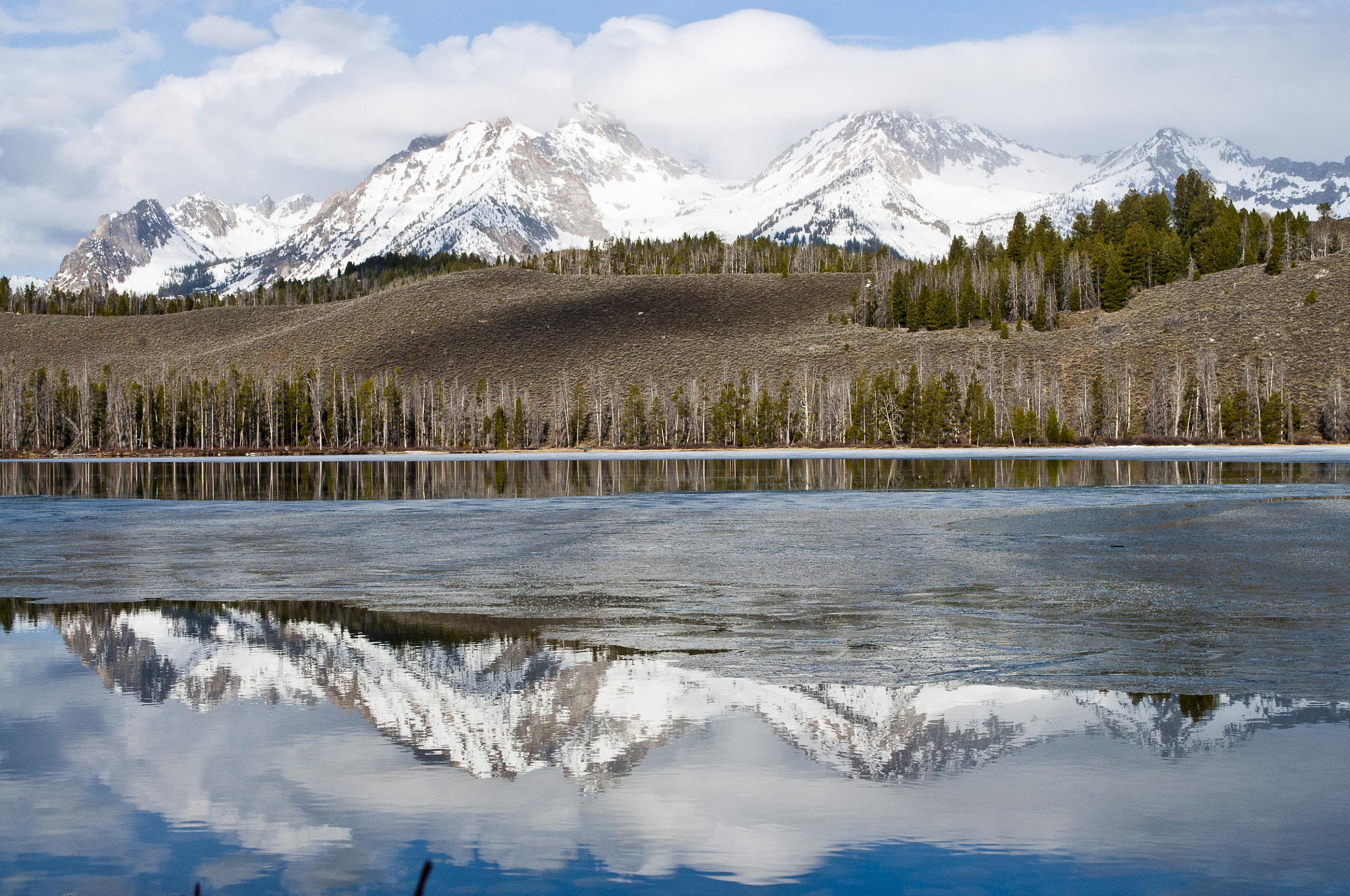 reflection