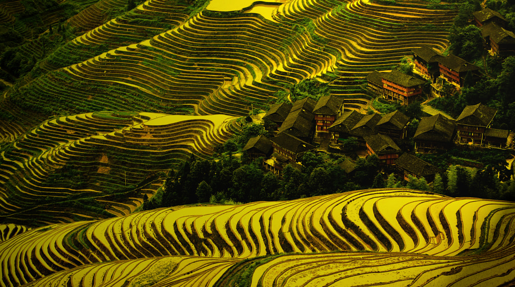 cuddling in curves by ning zhang on 500px.com