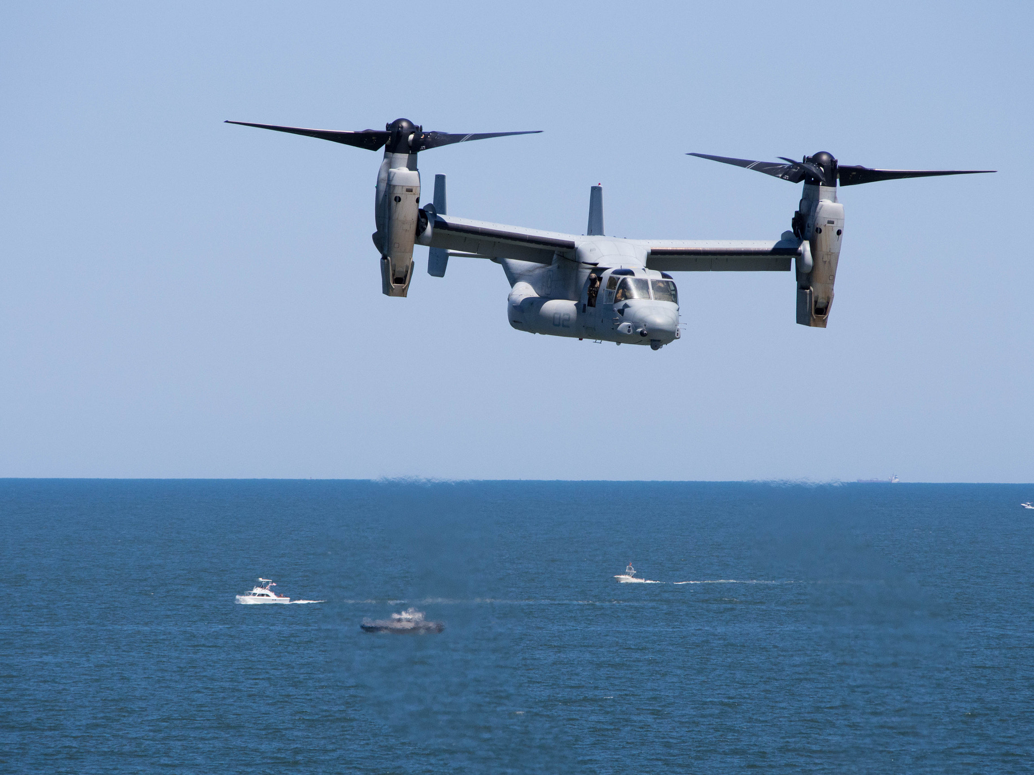 Osprey
