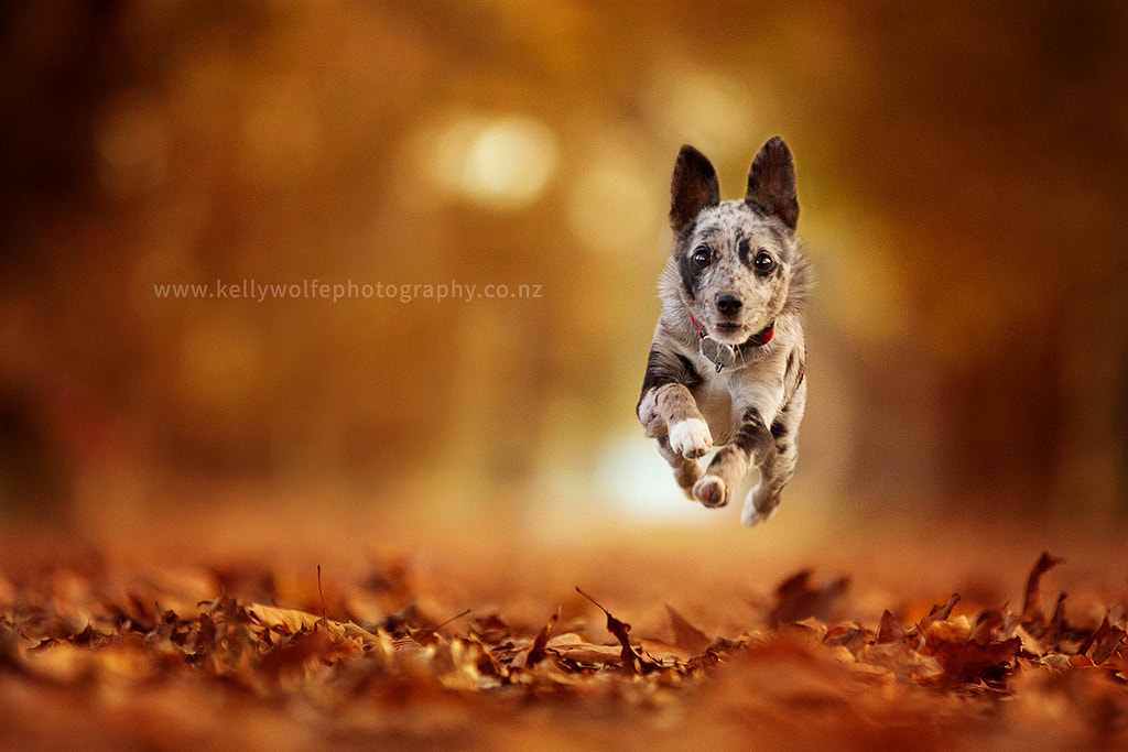 Deo by Kelly Wolfe on 500px.com