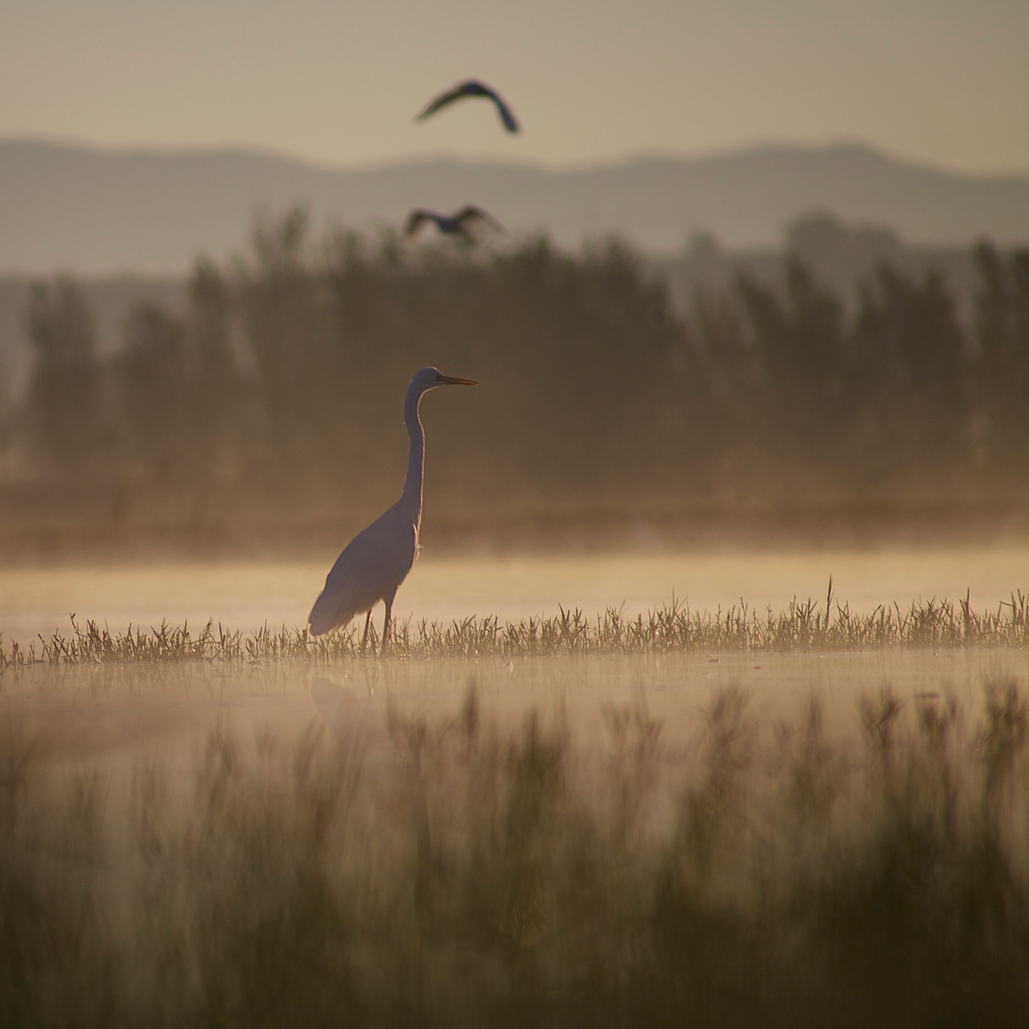 v2?sig=c6646d11f6d031b3d187adc94b676572d1bcd5535b7206dec006d6fd039c8a06