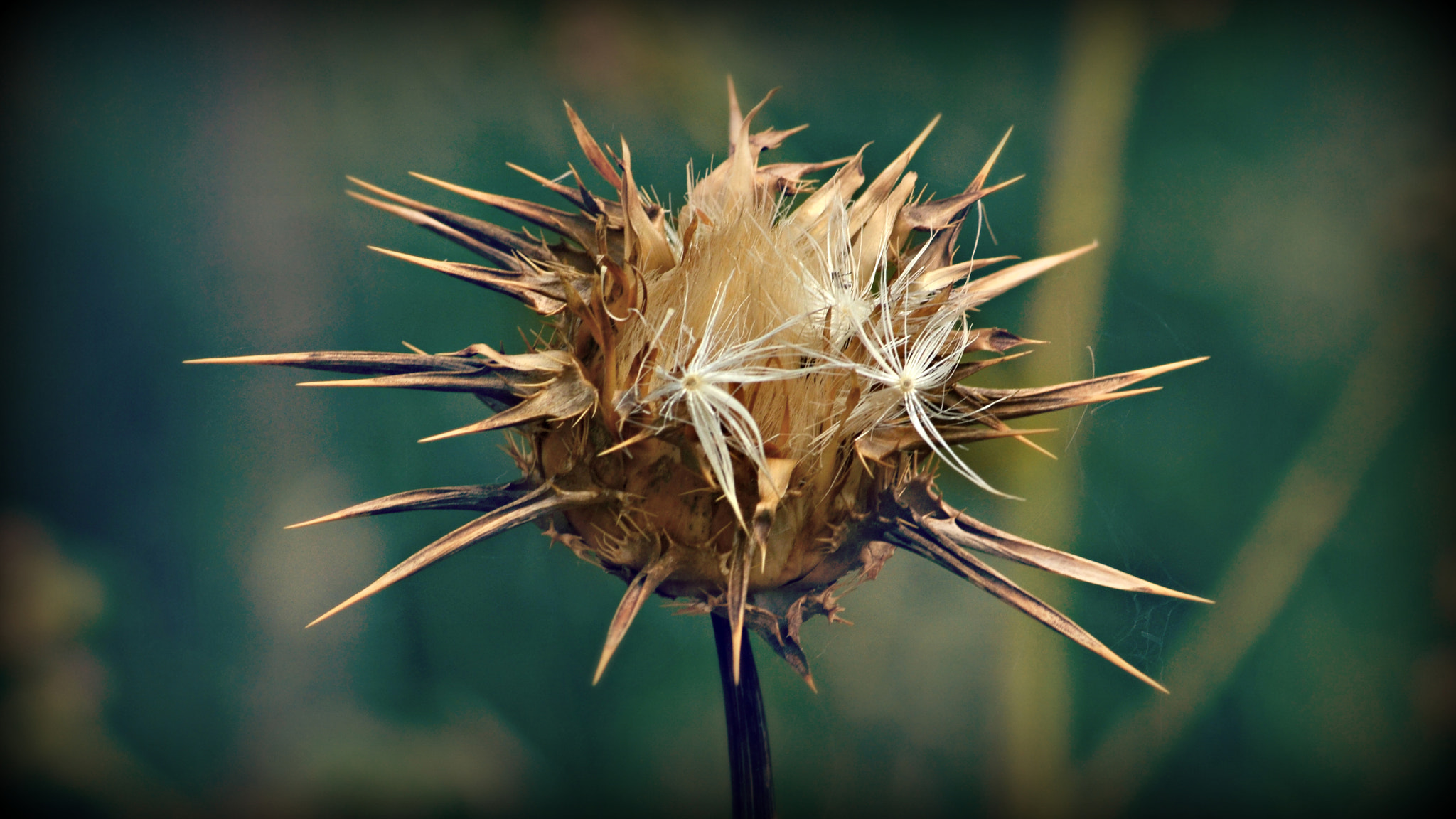 v2?sig=43e9b243bf311eae3cd731588839aa5e1f306e37124c623615a08d2365e996d1