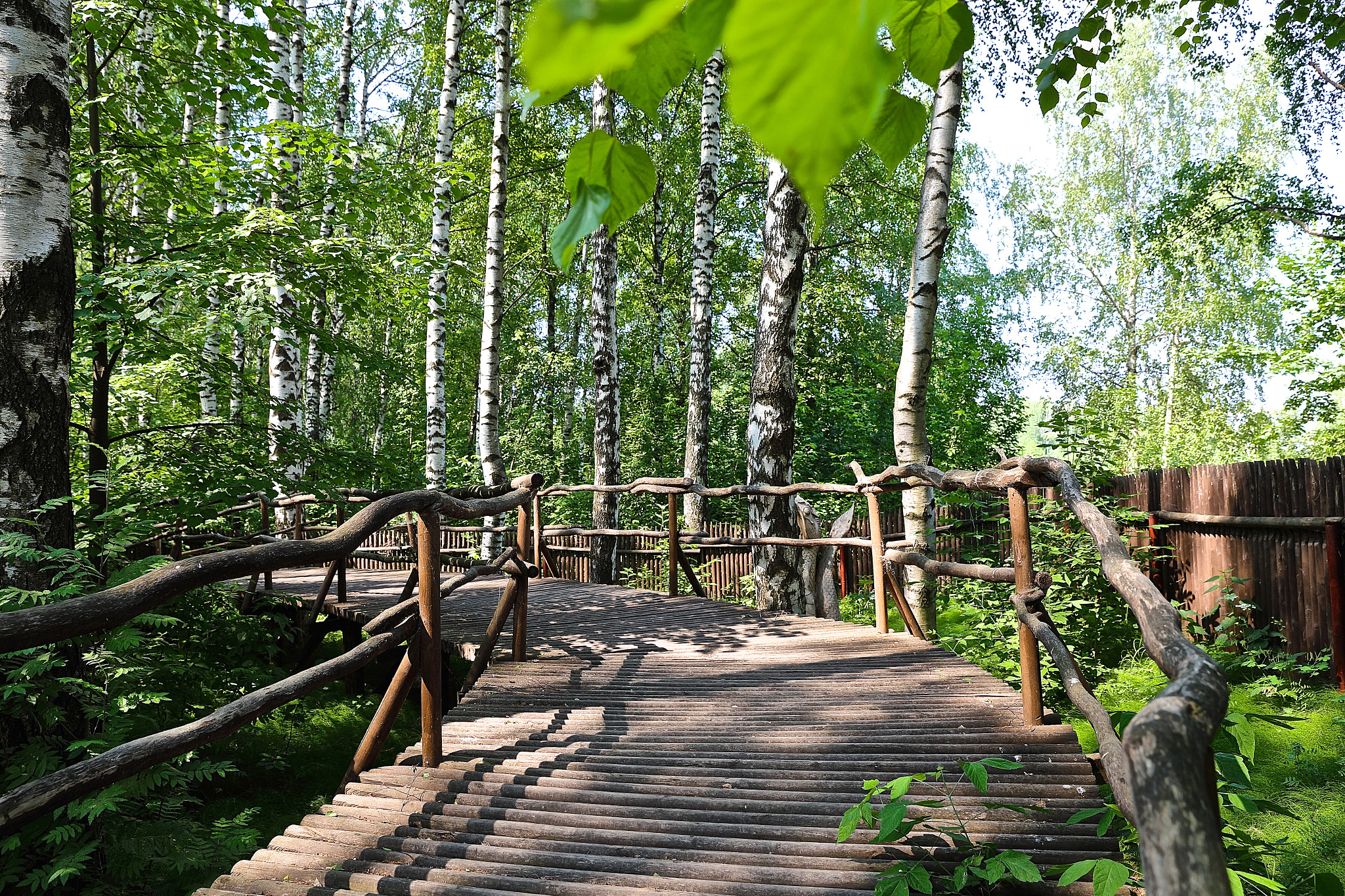 Fabulous bridge