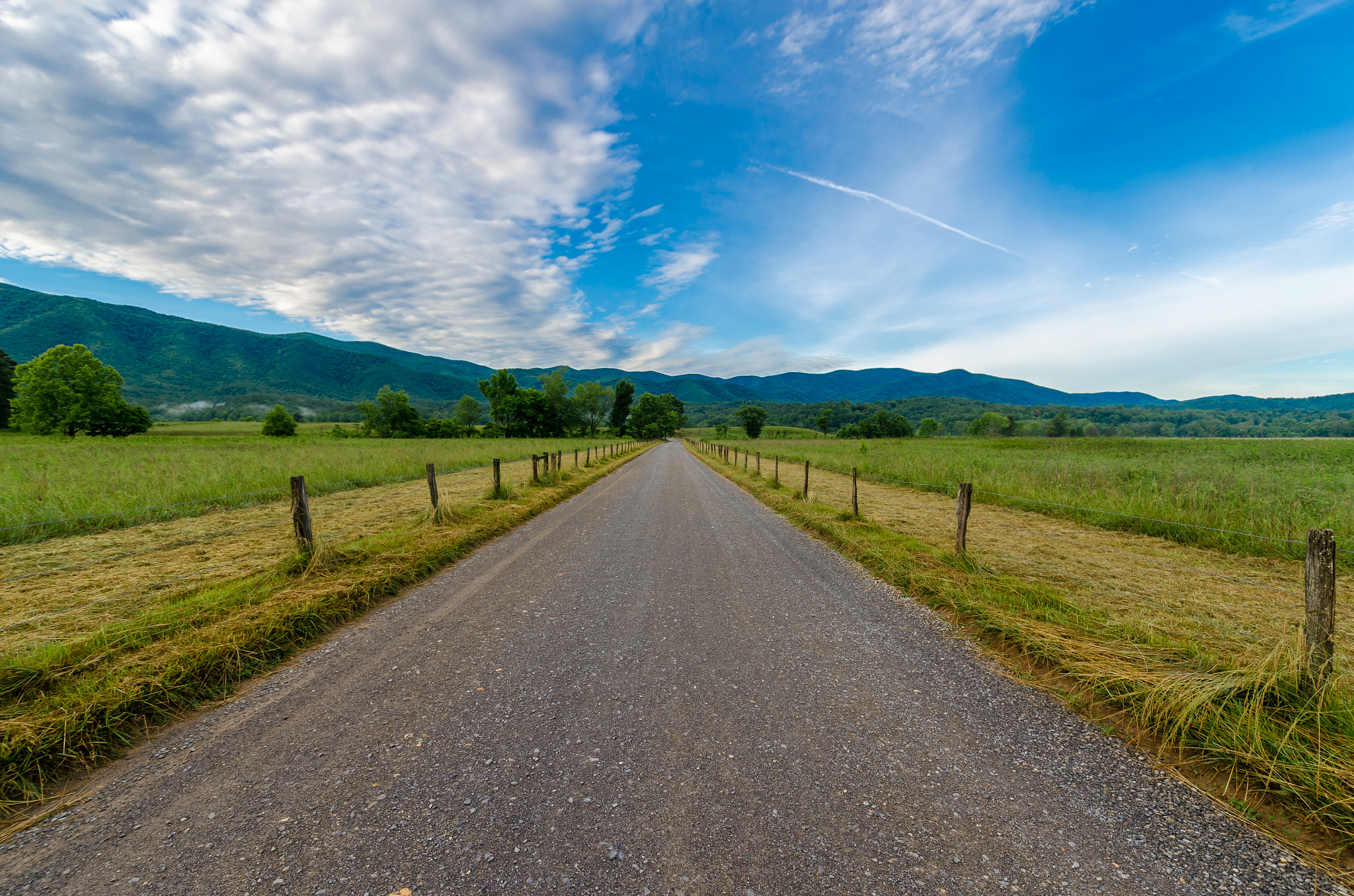 Cades Cove Sunshine