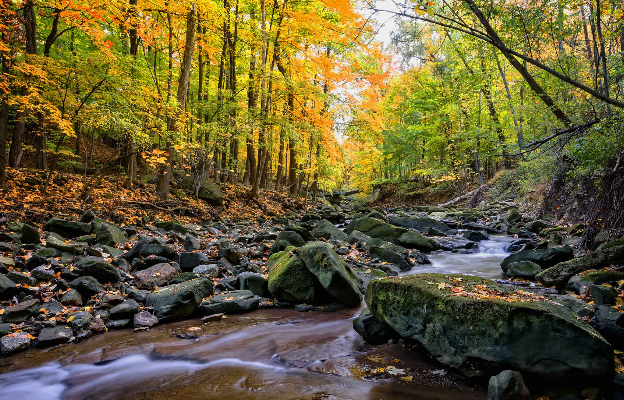 v2?sig=9c0910f46c94875056578e2a37b875187861cfc4bf97894509cacbd20537baa4