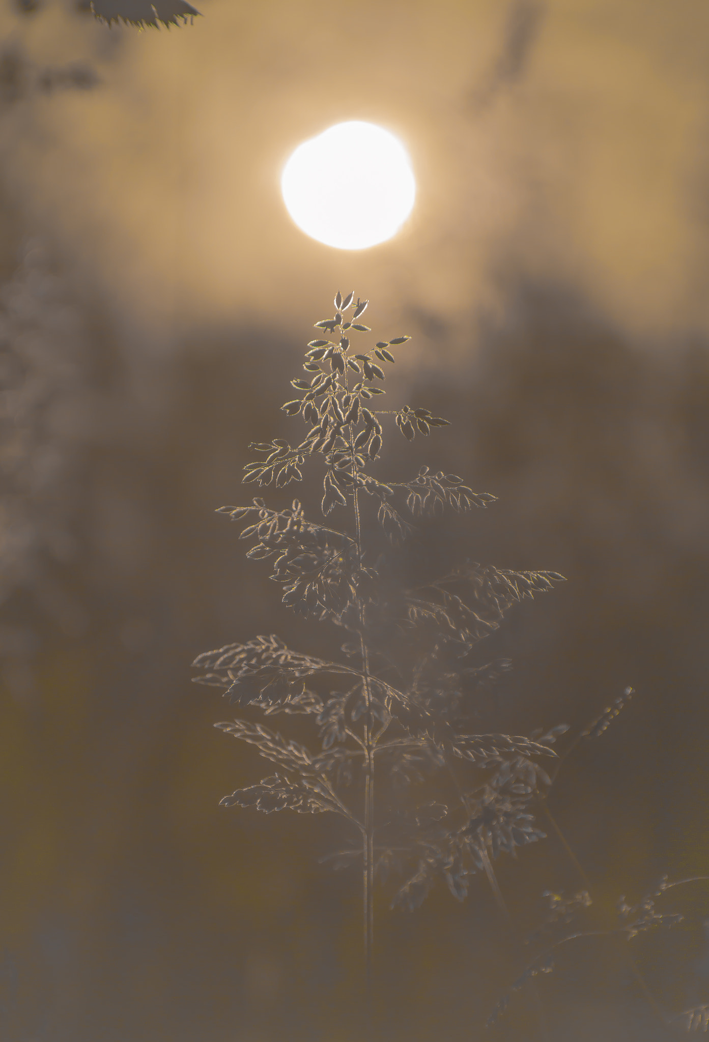 Less contrast, More detail.